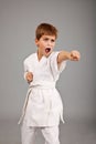 Karate boy in white kimono fighting Royalty Free Stock Photo