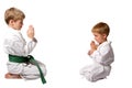 Karate buddies bowing Royalty Free Stock Photo