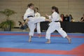 Karate, European Master Cup, Fighting Techniques