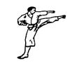 Karate fighter