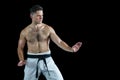 Karate fighter performing karate stance Royalty Free Stock Photo