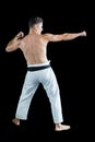 Karate fighter performing karate stance Royalty Free Stock Photo