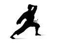 Karate fighter.Karate silhouette vector. Royalty Free Stock Photo