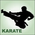 Karate high kick. MARTIAL ARTS.