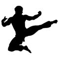 karate kata silhouette vector art Royalty Free Stock Photo