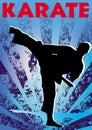 Karate kick poster. Vector. Royalty Free Stock Photo