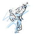 Karate kick Royalty Free Stock Photo
