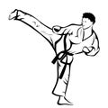 Karate kick Royalty Free Stock Photo