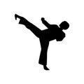 Karate kick silhouette. Karate kick simple isolated icon Royalty Free Stock Photo