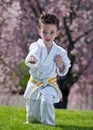 Karate kid Royalty Free Stock Photo