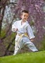 Karate kid Royalty Free Stock Photo