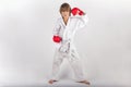 Karate kid with red boxing gloves posing Royalty Free Stock Photo