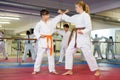 Karate kids training in gym