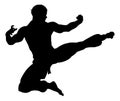 Karate Kung Fu Flying Kick Man Silhouette Royalty Free Stock Photo