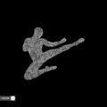 Karate and kung fu. Karate jump kick. Fighter. 3d model of man. Sport symbol. Design element. Asian martial arts. Vector