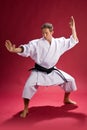 Karate man Royalty Free Stock Photo