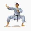 Karate man white kimono with black belt standing and practicing in the ring, champion of the world. Karate training concept vector Royalty Free Stock Photo