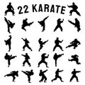 The karate Silhouette for martial arts or sport concept