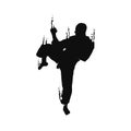 Karate martial art splash silhouette design vector Royalty Free Stock Photo
