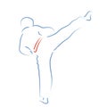 Karate moves, stylized karateka vector illustration