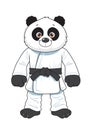 Cartoon karate panda kid