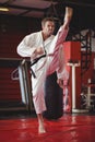 Karate player performing karate stance Royalty Free Stock Photo
