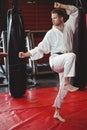 Karate player performing karate stance Royalty Free Stock Photo