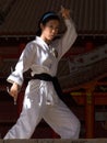 Karate Pose Royalty Free Stock Photo