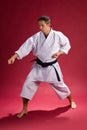 Karate Pose Royalty Free Stock Photo