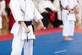 Karate practitioner body position during competition. Martial arts.