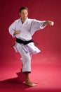 Karate Punch Royalty Free Stock Photo