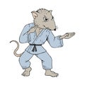 Karate rat draw Royalty Free Stock Photo