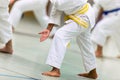 Karate Shotokan Kata Royalty Free Stock Photo