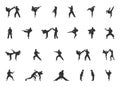 Karate Silhouettes, Martial Arts Silhouette, Karate Girl Silhouette, Kick boxing, Karate Clipart, Karate Icon Royalty Free Stock Photo