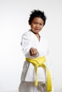 Karate Stance Royalty Free Stock Photo