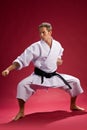 Karate stance Royalty Free Stock Photo