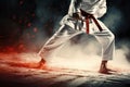 Karate stance with a red belt, sparks flying Royalty Free Stock Photo