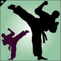 Karate. Taekwon-do. Kung-fu. High kick. Martial arts.