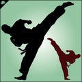 Karate. Taekwon-do. Kung-fu. High kick. Martial arts. Vector.