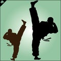 Karate. Taekwon-do. Kung-fu. High kick. Martial arts. Vector.