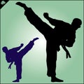 Karate. Taekwon-do. Kung-fu. High kick. Martial arts. Vector.