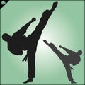 Karate. Taekwon-do. Kung-fu. High kick. Martial arts. Vector.