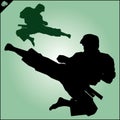 Karate. Taekwon-do. Kung-fu. High kick. Martial arts. Vector.