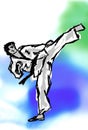 KARATE, Taekwondo high KICK