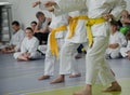 Karate training. Kids of different ages in kimono with yellow be