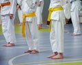 Karate training. Kids are staying straight and waiting for exercices. Royalty Free Stock Photo