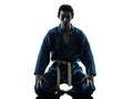 Karate vietvodao martial arts man silhouette