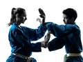 Karate vietvodao martial arts man woman couple silhouette Royalty Free Stock Photo