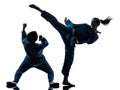 Karate vietvodao martial arts man woman couple silhouette Royalty Free Stock Photo