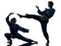 Karate vietvodao martial arts man woman silhouette